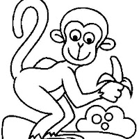 Macacos PB (11).jpg
