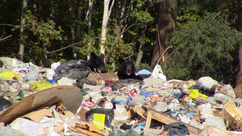 [2010_09_15_15_37_09_0008[3].jpg]
