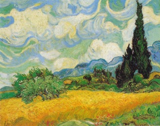 wheat field with cypresses