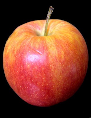 [canning-apples[5].jpg]