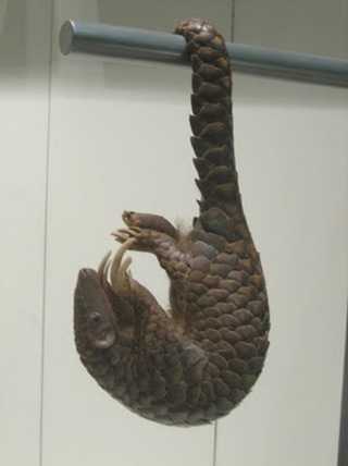 1 1