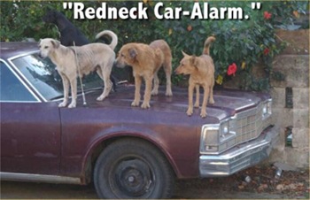 redneck_car_alarm
