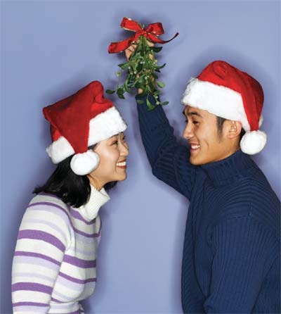 [mistletoe[5].jpg]