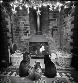 FiresideHeaven