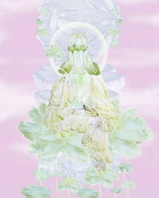 art_of_cabbage_09