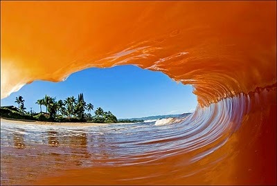 [35345345345234532455[5].jpg]