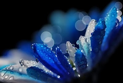 [1246268453539239[8].jpg]
