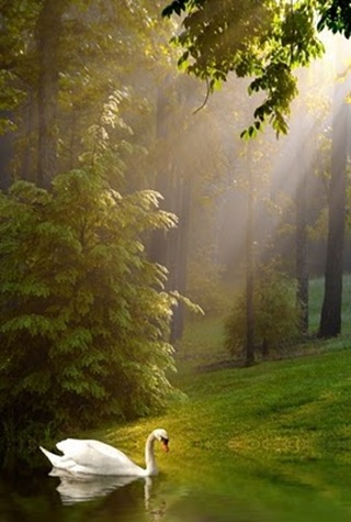tumblr_l4pe9nBhgt1qa1c6bo1_500