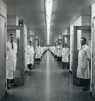 doctors