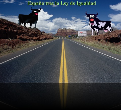 ley_de_igualdad_p