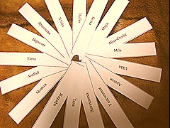 IMG_1240 IMG_1240