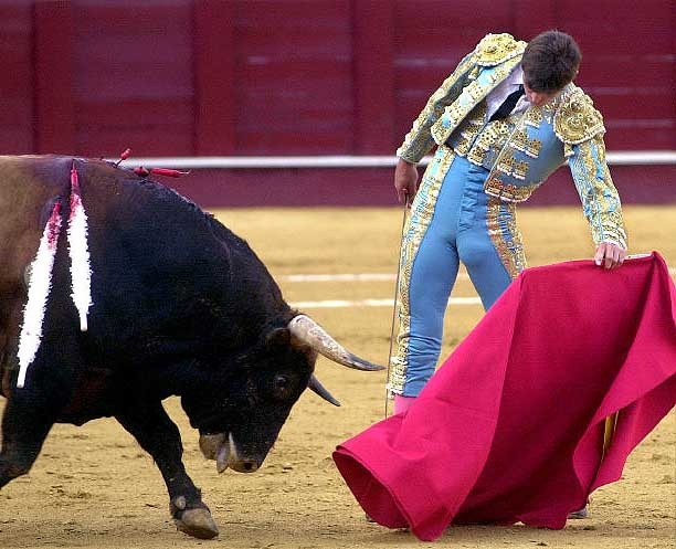 [torero[2].jpg]
