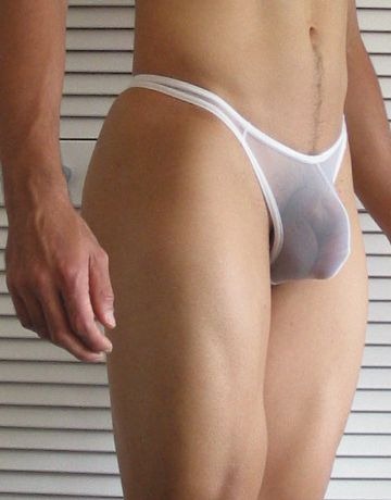 [Sheer4[3].jpg]