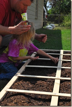 putting in seeds