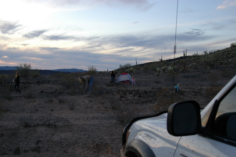 DSC_4695.JPG