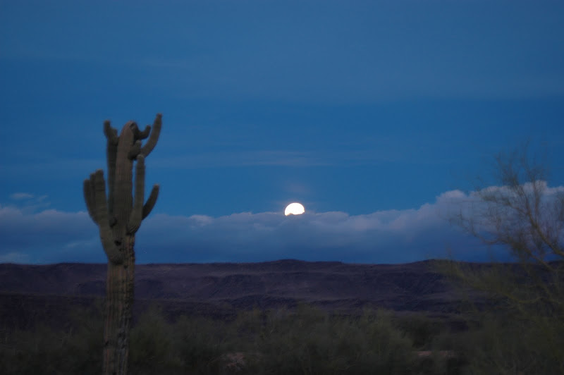 DSC_4702.JPG