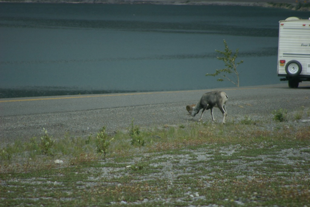 [AK09 Leg 12 Fort Nelson to Liard Hot Springs 008[3].jpg]