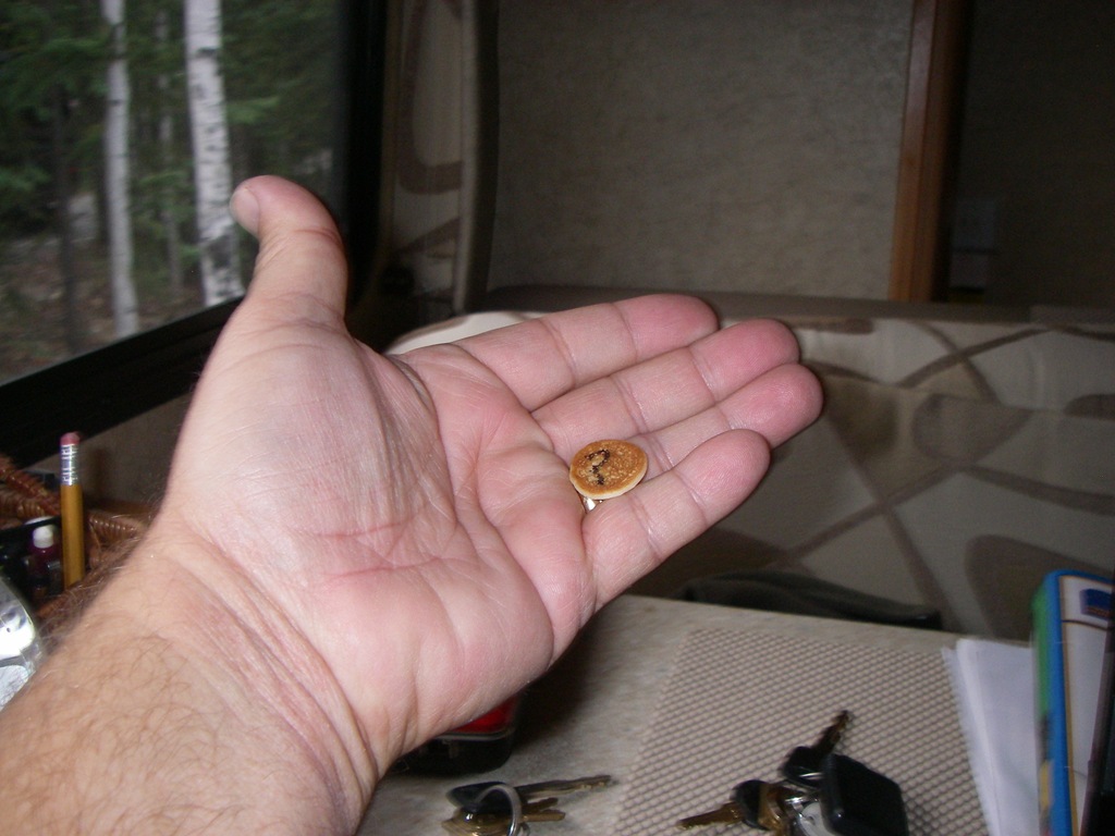 [AK09 Leg 17, Chicken to Tok 008[3].jpg]