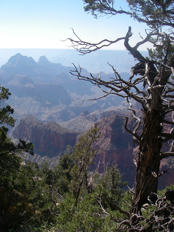 [SW USA 08 Day 10 019[5].jpg]