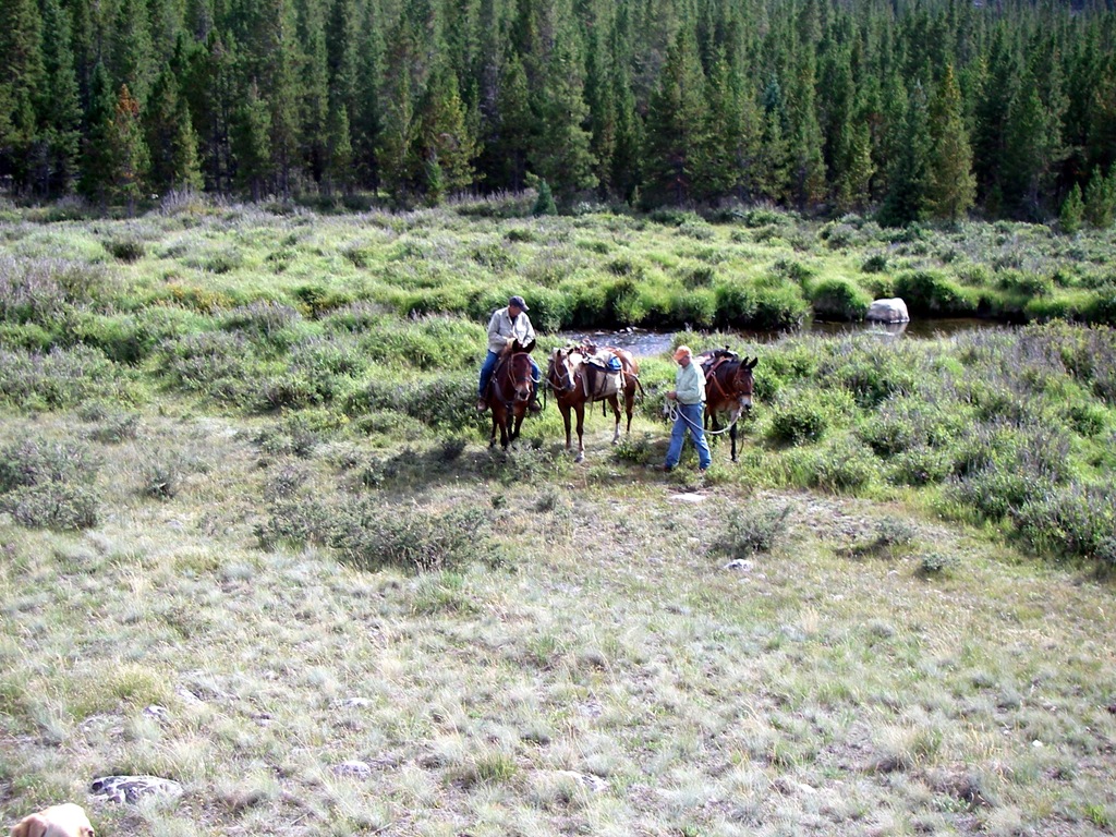 [Buffalo, WY Aug 2007 036[5].jpg]