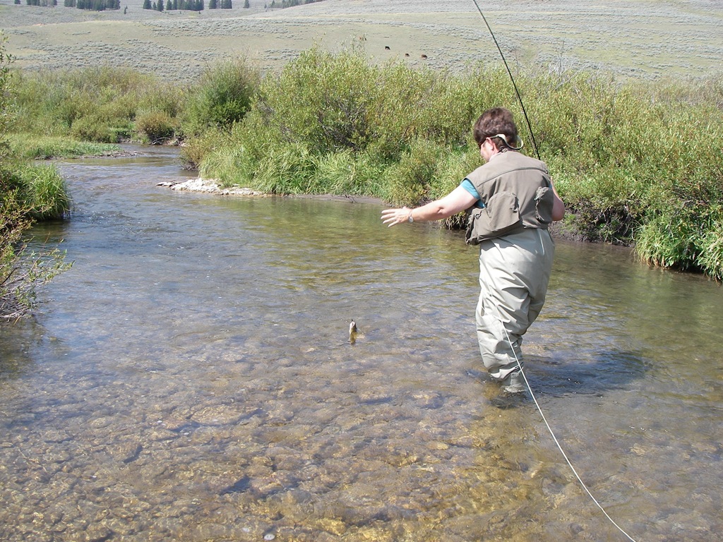 [Tongue River 006[5].jpg]