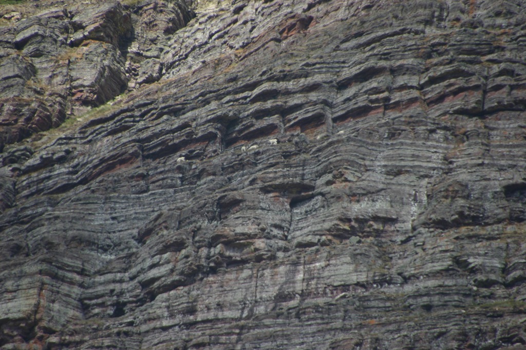 [Glacier National Park, etc. 2007 119[5].jpg]