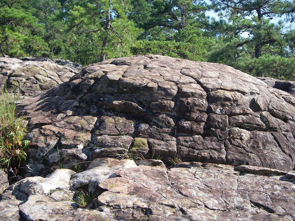 [Sep-2008---Petit-Jean-State-Park-AR-[24].jpg]