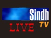 Sindh tv
