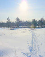 2010_02_20_12_54_07_012.JPG Photo