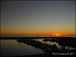 IMG_0016 IMG_0016