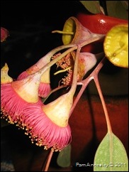IMG_0051 IMG_0051