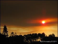 IMG_0013 IMG_0013