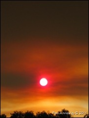IMG_0009 IMG_0009