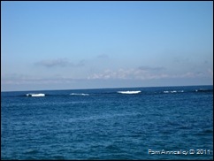 IMG_0039 IMG_0039