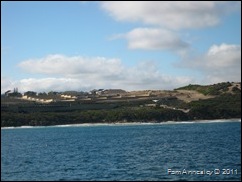 IMG_0055 IMG_0055