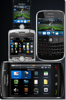 blackberry61-crop