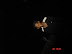 DSC05416.JPG
