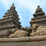 DSCN1159.JPG