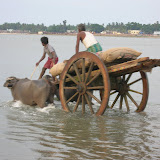 DSCN1559.JPG