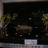 DSCN1370.JPG