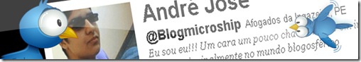 novo twitter
