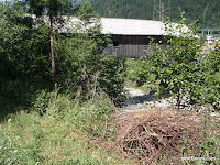 P7090040.JPG Photo