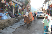 Sudame 034.JPG Photo