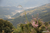 Pokhara 026.JPG Photo