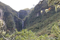 IMG_8251.JPG Photo