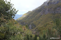 IMG_8252.JPG Photo