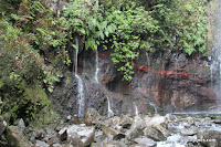 IMG_8273.JPG Photo