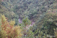 IMG_8296.JPG Photo