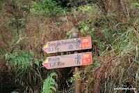IMG_8308.JPG Photo