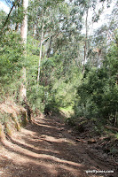 IMG_8324.JPG Photo